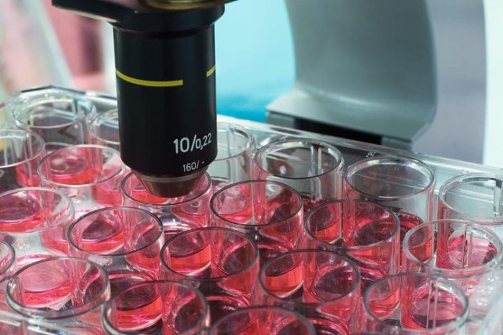 Beware of the use of fertilised embryos without the written consent of the deceased