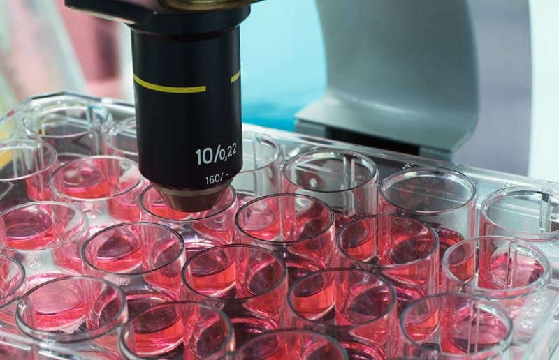 Beware of the use of fertilised embryos without the written consent of the deceased